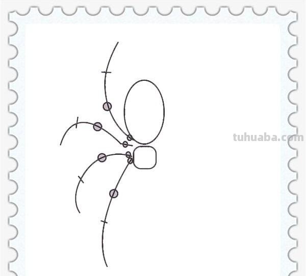 儿童简笔画精选-如何画一只蜘蛛（Spider）「节肢动物」