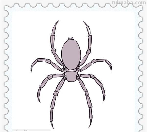 儿童简笔画精选-如何画一只蜘蛛（Spider）「节肢动物」