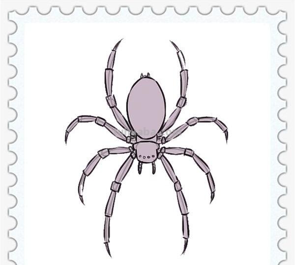 儿童简笔画精选-如何画一只蜘蛛（Spider）「节肢动物」