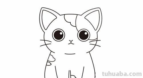 猫咪偶简笔画 猫咪简笔画可爱 步骤