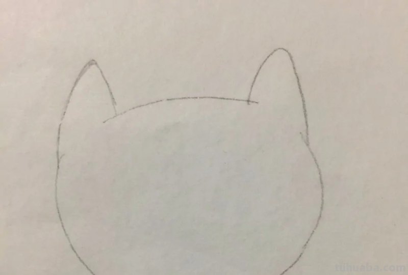 猫咪简笔画教程