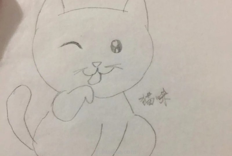 猫咪简笔画教程