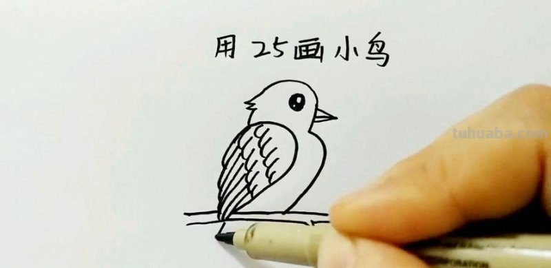 简单易学的小鸟简笔画步骤图，轻松变身绘画达人