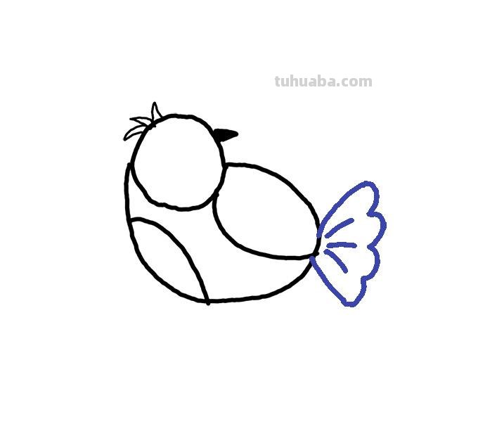 简单易学的小鸟简笔画步骤图，轻松变身绘画达人