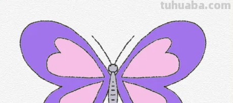 怎么画蝴蝶简笔画