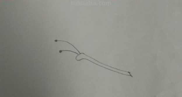 怎样画蝴蝶简单又好看