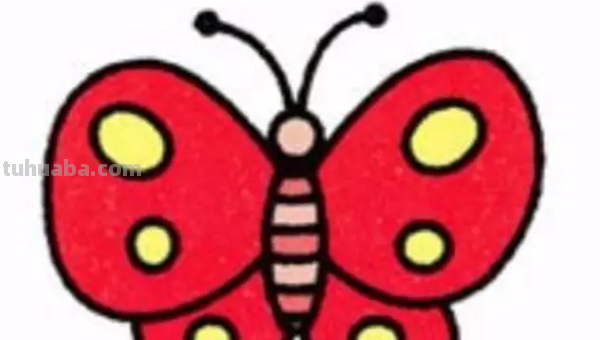 蝴蝶的简笔画怎么画