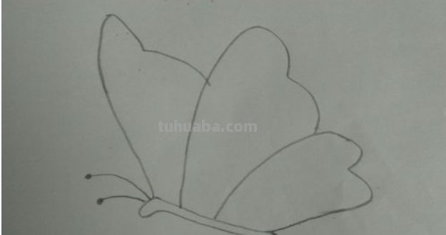怎样画蝴蝶简单又好看