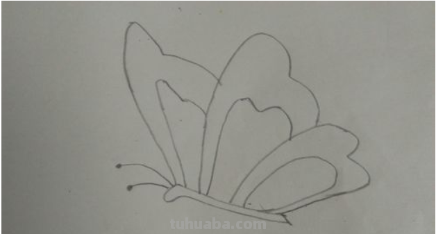 怎样画蝴蝶简单又好看