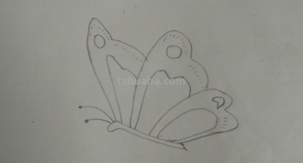 怎样画蝴蝶简单又好看