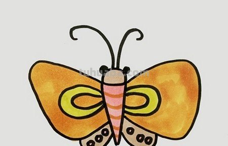 蝴蝶的简易画法怎么画