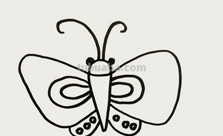 蝴蝶的简易画法怎么画