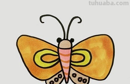 蝴蝶的简易画法怎么画