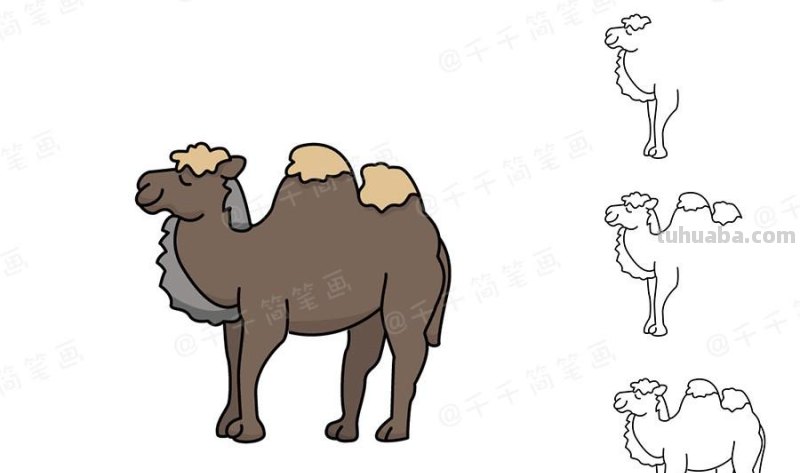 可爱的小动物简笔画，无聊时候可以和宝宝一起画哦～