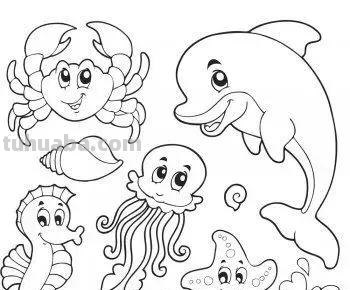 各种小动物的100种画法，非常实用的素材