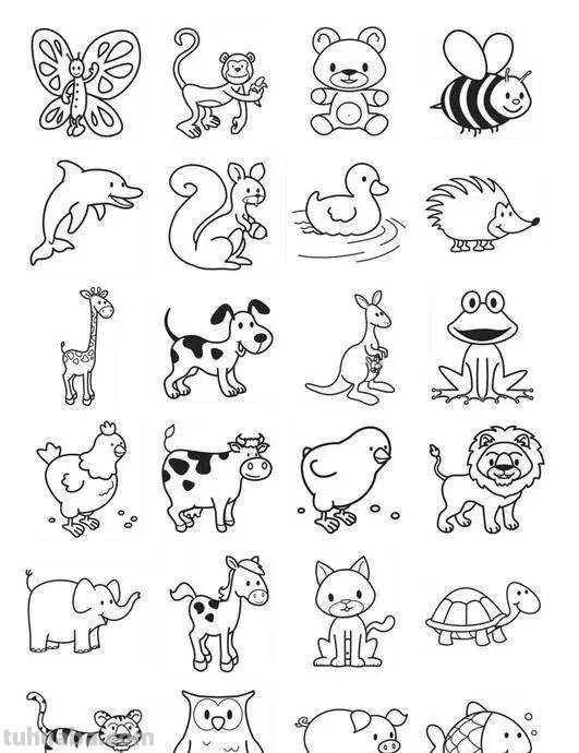 各种小动物的100种画法，非常实用的素材