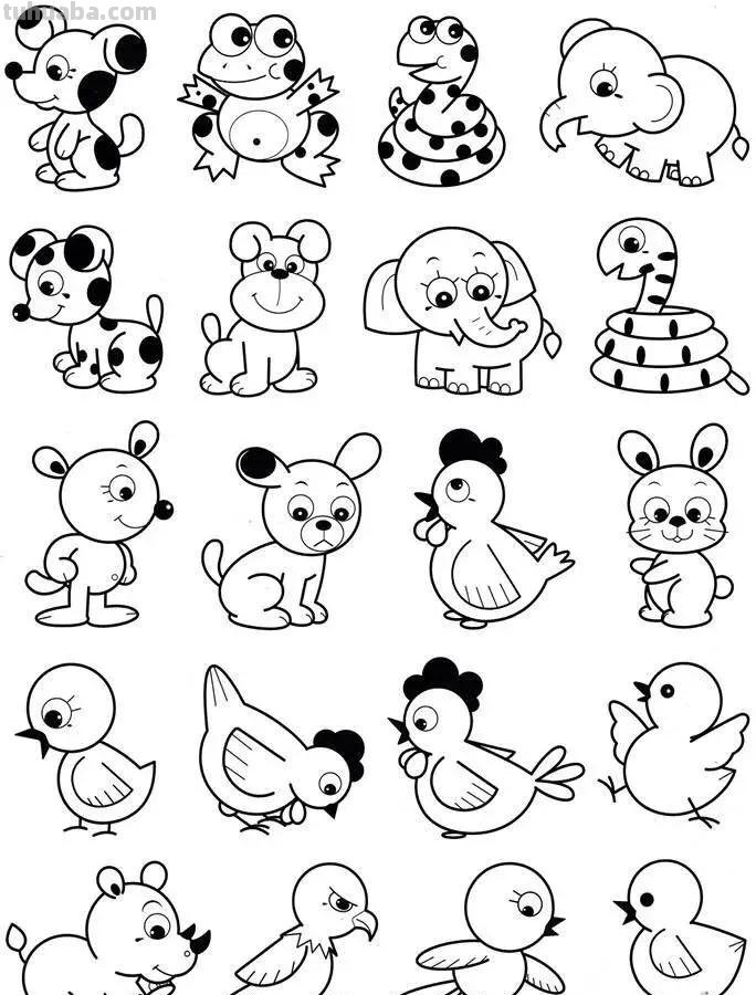 各种小动物的100种画法，非常实用的素材