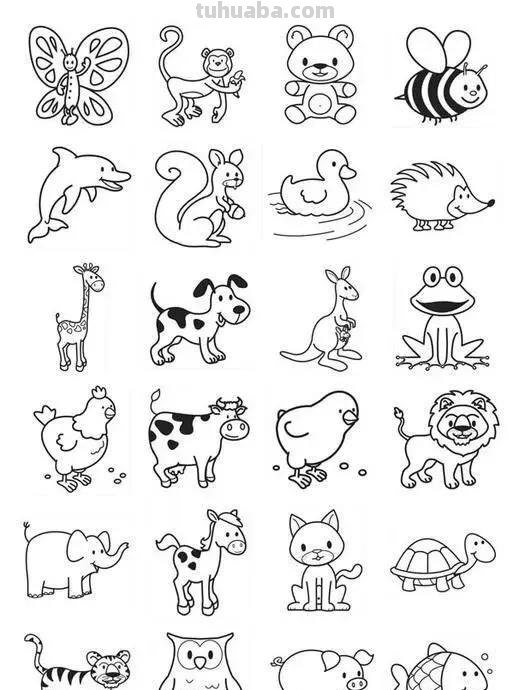 各种小动物的100种画法，非常实用的素材