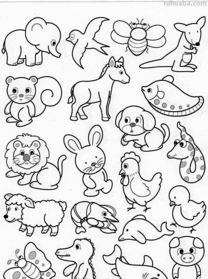 各种小动物的100种画法，非常实用的素材