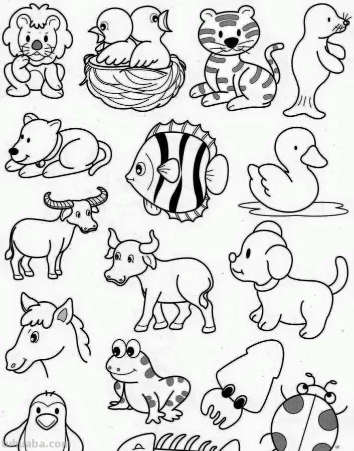 各种小动物的100种画法，非常实用的素材