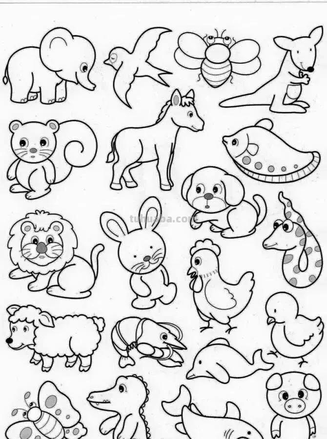 各种小动物的100种画法，非常实用的素材