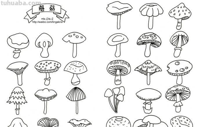 你们要找的园艺植物简笔画小素材，全在这了，快收藏！