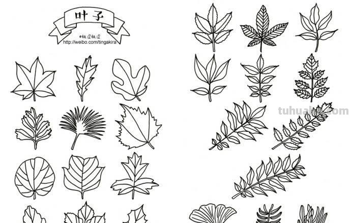 你们要找的园艺植物简笔画小素材，全在这了，快收藏！