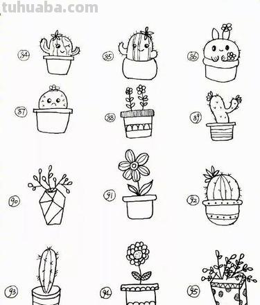植物简笔画，宅家哄孩子必备神器