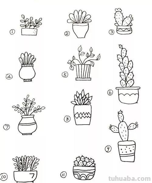 植物简笔画，宅家哄孩子必备神器