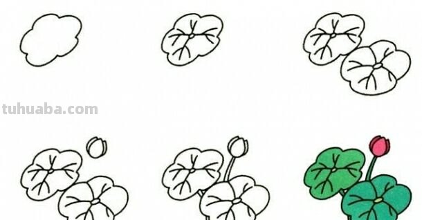 植物简笔画，宅家哄孩子必备神器