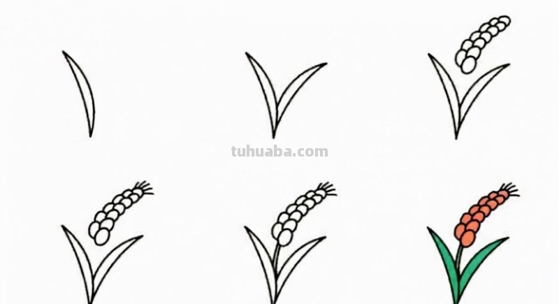 植物简笔画，宅家哄孩子必备神器
