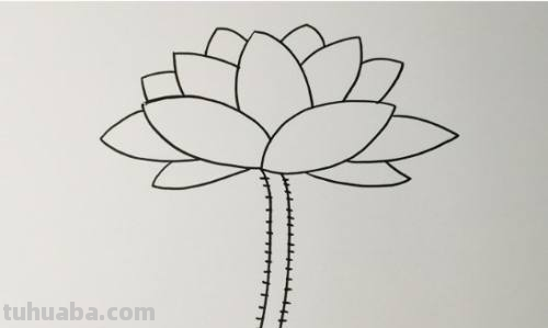 荷花怎么画好看又简单