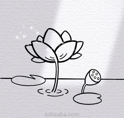 荷花简笔画教程 荷花简笔画教程视频