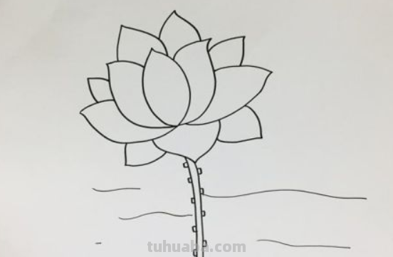 荷花简笔画步骤