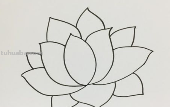 荷花简笔画步骤