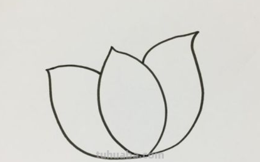 荷花简笔画步骤