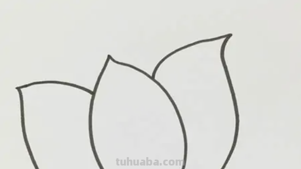 荷花的简笔画怎么画