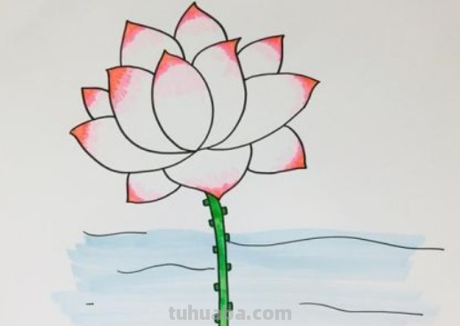 荷花简笔画步骤