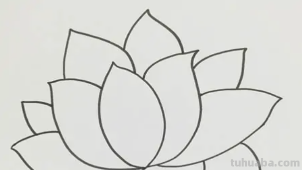 荷花的简笔画怎么画