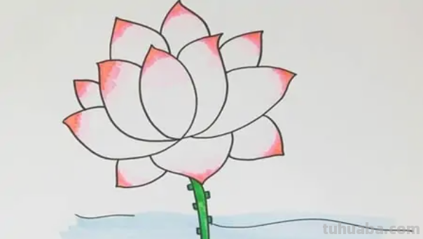 荷花的简笔画怎么画