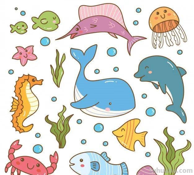 10分钟就能学会的100种海底动物大全！超萌超有趣！千万不能错过