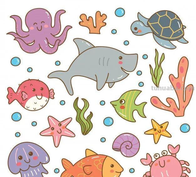 10分钟就能学会的100种海底动物大全！超萌超有趣！千万不能错过