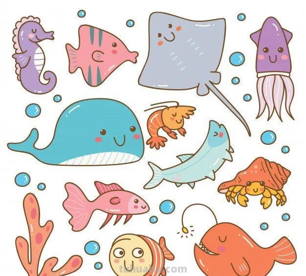 10分钟就能学会的100种海底动物大全！超萌超有趣！千万不能错过