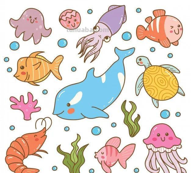 10分钟就能学会的100种海底动物大全！超萌超有趣！千万不能错过