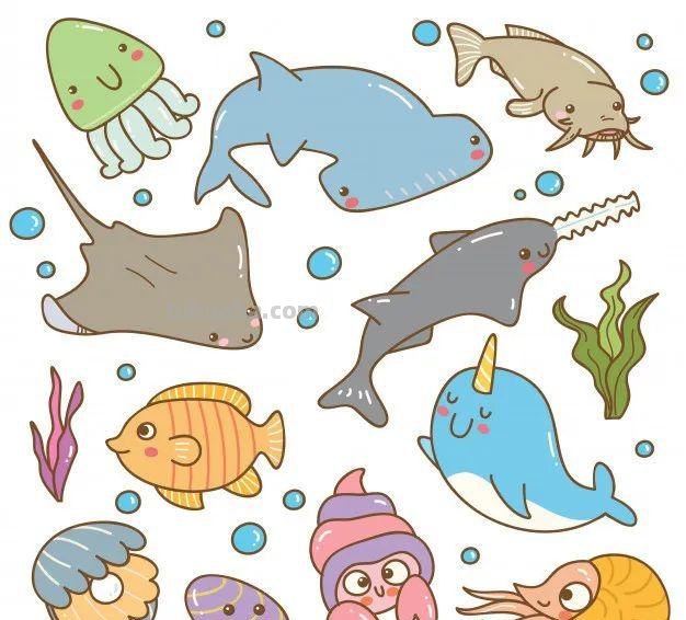 10分钟就能学会的100种海底动物大全！超萌超有趣！千万不能错过