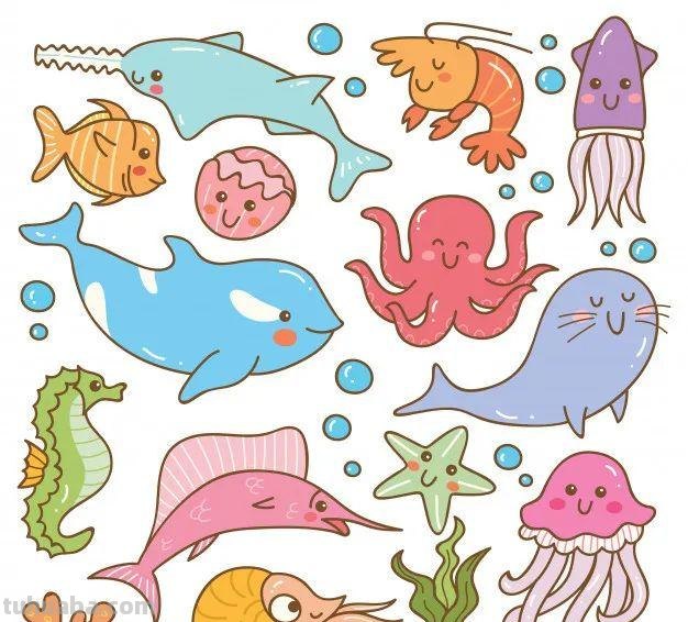 10分钟就能学会的100种海底动物大全！超萌超有趣！千万不能错过