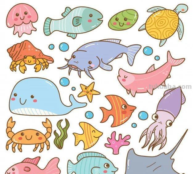 10分钟就能学会的100种海底动物大全！超萌超有趣！千万不能错过