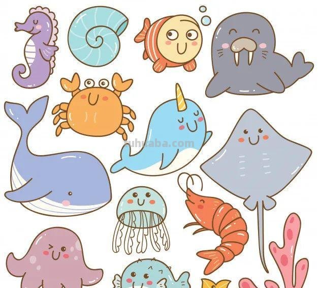 10分钟就能学会的100种海底动物大全！超萌超有趣！千万不能错过