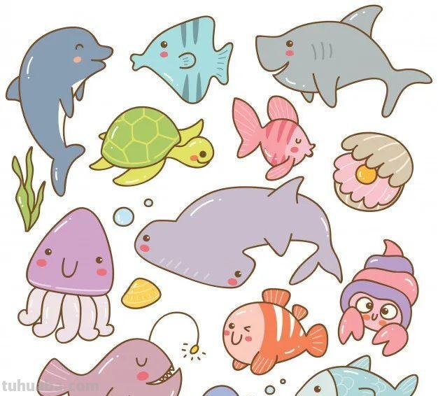 10分钟就能学会的100种海底动物大全！超萌超有趣！千万不能错过