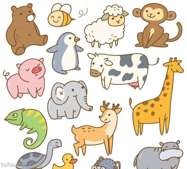 10分钟就能学会的100种海底动物大全！超萌超有趣！千万不能错过